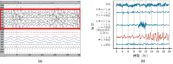 ４ ３睡眠の段階 アメリカ版大学心理学の教科書 心理学の独学 勉強サイト よむがく