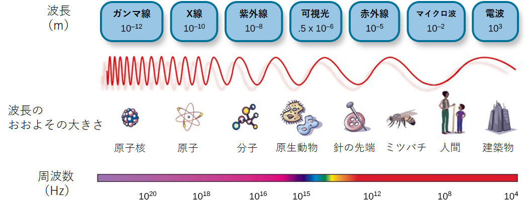 5.2 波動と波長 | 心理学の独学・勉強サイト